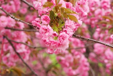 温州鹿城区线下个人借款平台一站式服务，轻松解决资金难题