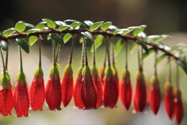 温州鹿城区零用贷短借：轻松解决临时资金需求