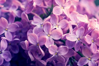 温州鹿城区企业急用钱贷款攻略：快速融资解燃眉之急